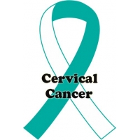 Teal/White Teal/White
